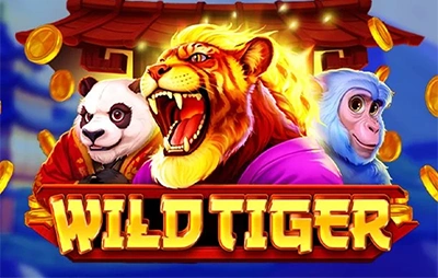wild tiger 7 Slot